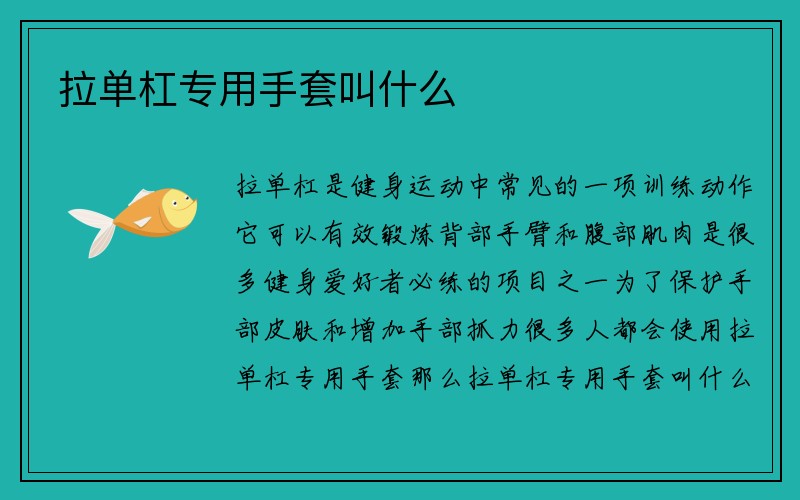 拉单杠专用手套叫什么