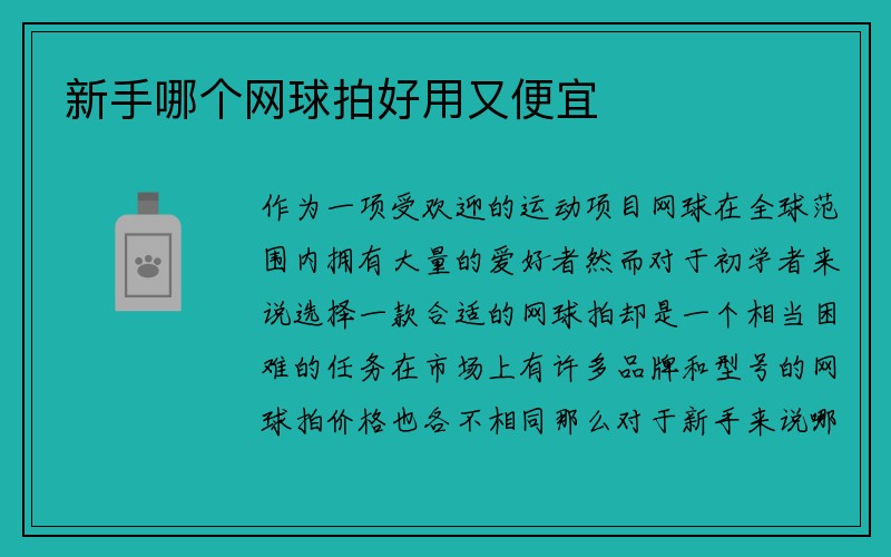 新手哪个网球拍好用又便宜