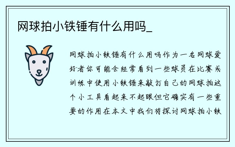 网球拍小铁锤有什么用吗_